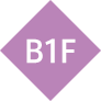 B1F